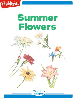 cover image of Summer Flowers